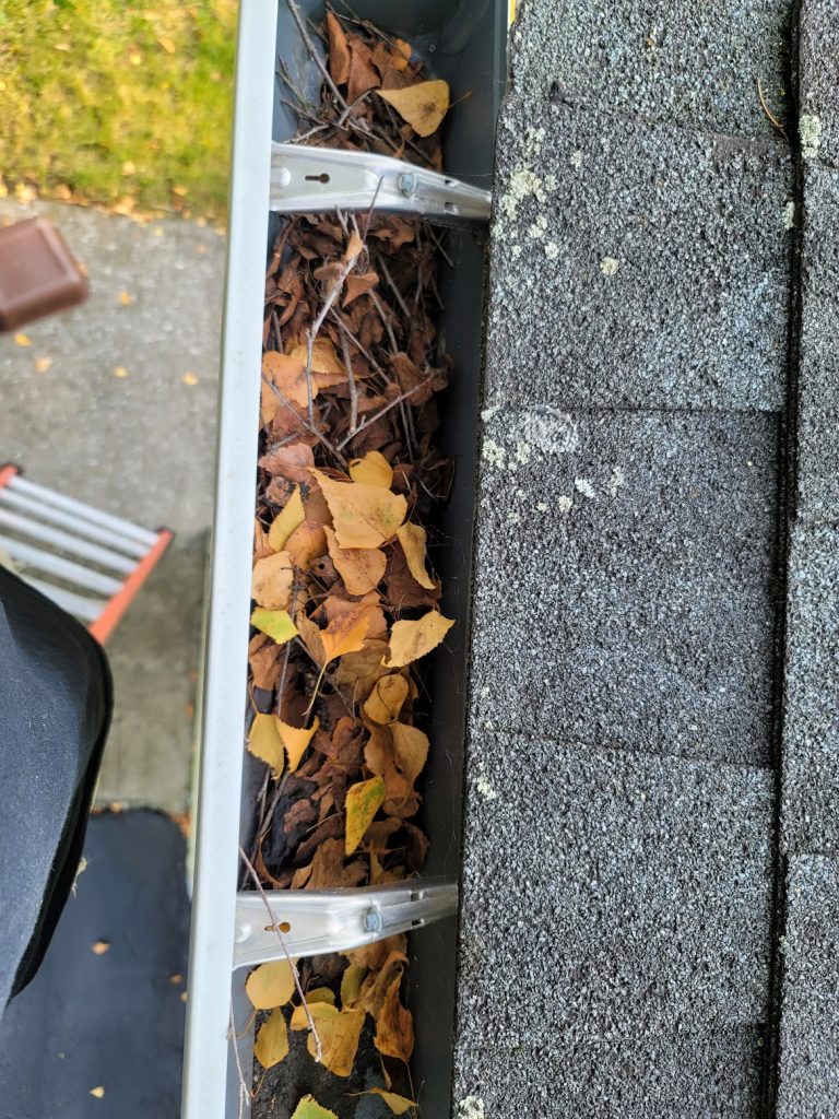 Leaves stuck in gutters